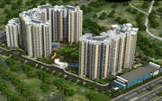 Ready To Move Flats In Noida Extension, 8447146146