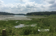 1 acre 90cent water frontage land for sale in Nellarachal.