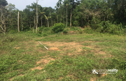 20cent house plot for sale near Mananthavady at 20lakh.Wayanad