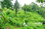 50 cent land @ 6 lakh in Korome