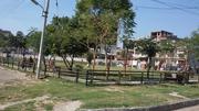 200 Sq yrd Plot in Mohali Sector 79