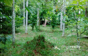 40 cent  land  in AKG  @ 32 lakh. Wayanad