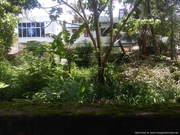 10 cents of house plot for sale in padamugal kakkanadu Ernakulam