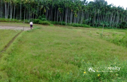 75 cent  Paddy field  in Naikuppa @ 5 lakh. Wayanad