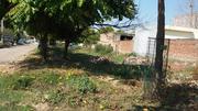 200 Sq Yard Plot in Mohali Sector 80