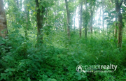 40 cent land for sale in Vattakkavu @ 24lakh.