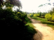 Best Opportunity to Buy Farm House In Bangalore