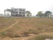 250 Sq Yard Plot Sector 117 TDi CIty