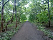 Farm Lands 1 Acre @ 8, 00, 000/-