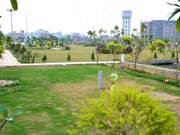 250 Sq YArd Plot in Sec 110 Tdi 