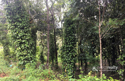 1 acre land @ 3500000 in Vellamunda. Wayanad