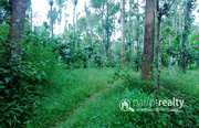 3.50 acre  land @ 25lakh/acre  in Thonichal. Wayanad