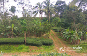 3.50 acre land @ 17lakh/acre in Kattimoola. Wayanad