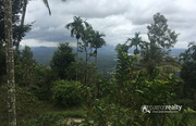 1 acre land in Mandad @ 22 lakh. Wayanad