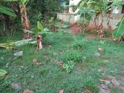 3.50 Cents for sale at Kottiyam junction,  Near Holy Cross Hospital, Kol