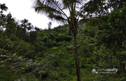 40 cent land in Kurumbalakotta @ 12lakh. Wayanad