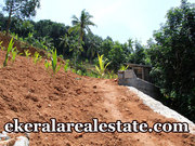 Cheriyakonni Vattiyoorkavu house plot for sale