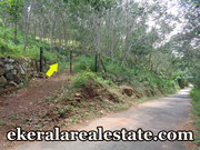 Land Sale at Koottappu Near Amboori Vellarada