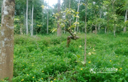 1 acre land in Moonanakuzhy @ 60lakh. Wayanad