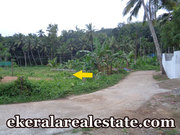 Palode Nedumangad  land for sale 