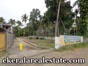 Pappanamcode 6 Cent land for sale