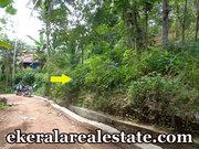 Kollamkonam Peyad 40 cents rubber land for sale