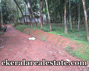 Kattakada 20 cents residential plot for sale