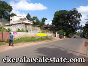 20 cents house plot sale at Pathamkallu Nedumangad