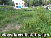 Murukkumpuzha 6 cents house plot for sale