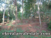 Naruvamoodu Pravachambalam 10 cents land plot for sale