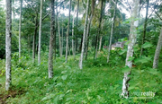 7 cent house plot in Akg @ 2.80 lakh. Wayanad