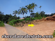 Land Sale at Subhash Nagar Powdikonam