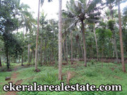 Malayinkeezhu land for sale