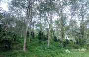 50 cent land @ 15 lakh in Cheeyambam. Wayanad