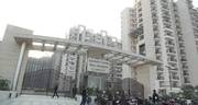 1bhk, 2bhk, 3bhk Flats For Sale In Gaur City Noida Extension