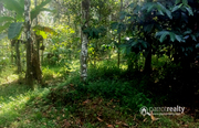 50 cent land in Nadavayal @27.50 lakh. Wayanad