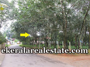 50cents hosue plot sale Panachavila Anchal Kollam Kerala