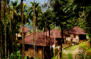 Well 5 acre with 12 Cottages in Meppadi @ 20 Cr. Wayanad