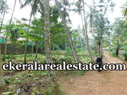 House plot 20cents land sale at Marayamuttom Neyyattinkara