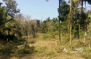 23.75cent house plot in Kayakkunnu @ 24lakh. Wayanad