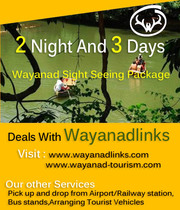 2 Acre land with house for sale at Neervaram, wayanad.