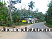 Kallar Ponmudi Trivandrum 17 cents road frontage land for sale