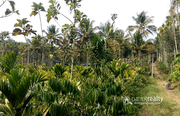 Well demanding 2 acre land in Kenichira @  26lakh.Wayanad