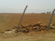 Green Acres Agriculture land and plots near shamshabad, hyderabad