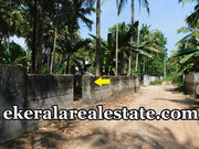 8 lakhs per cent land 4 cents sale at Kurishadi Junction Nalanchira