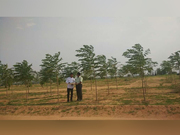 Greenacers Urban Farming Community Land