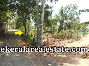 Mangattukadavu Perukavu road froontage 9 cents land for sale