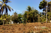 35cent house plot in pulpally @ 13 lakh. Wayanad - Land for sale