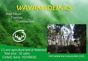 2.5 Acre agricultural land in 50 lakhs at Wayanad