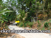 Kollamkonam Peyad 40 cents rubber land for sale